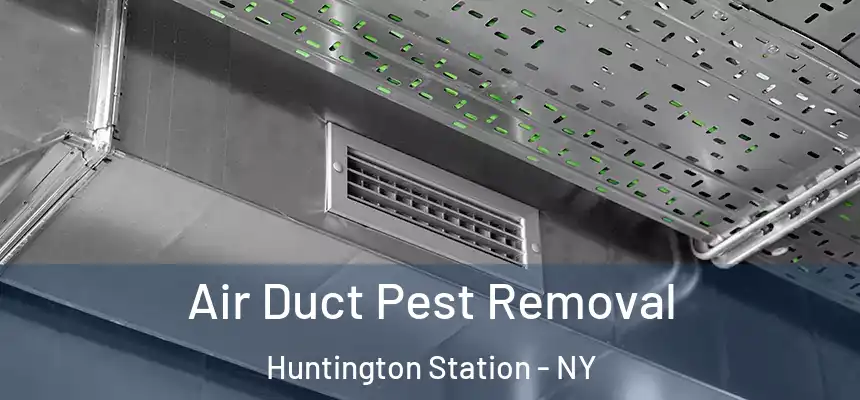  Air Duct Pest Removal Huntington Station - NY