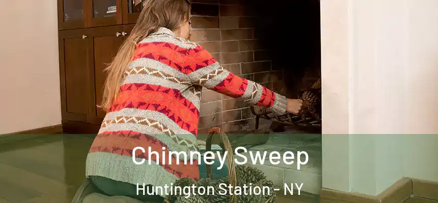  Chimney Sweep Huntington Station - NY