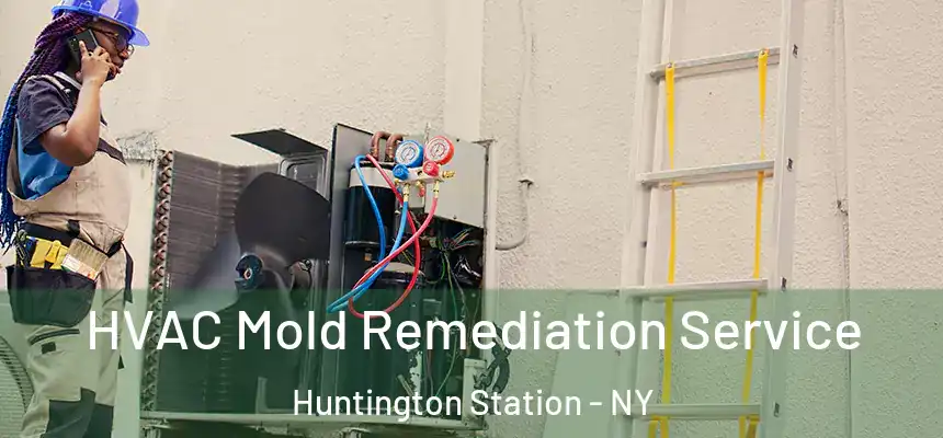 HVAC Mold Remediation Service Huntington Station - NY