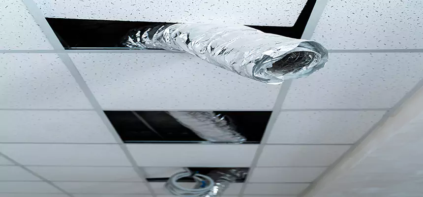 Our Air Duct Pet Hair Removal Services in Huntington Station, NY