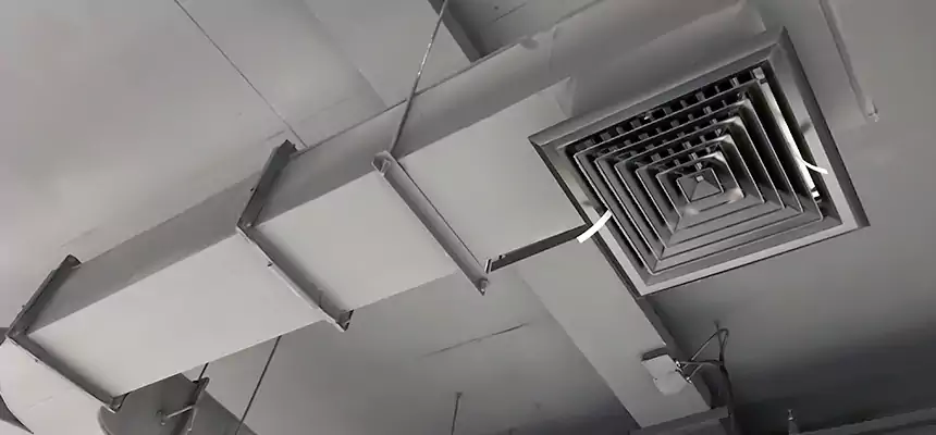 Restorative Allergy Relief Vent Cleaning – Coil, Blower & Housing Detail in Huntington Station