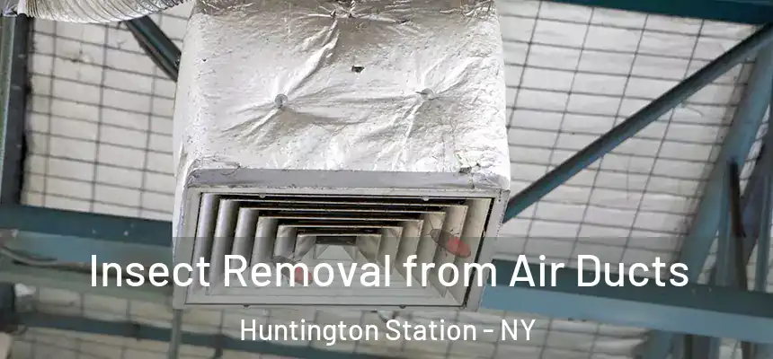 Insect Removal from Air Ducts Huntington Station - NY