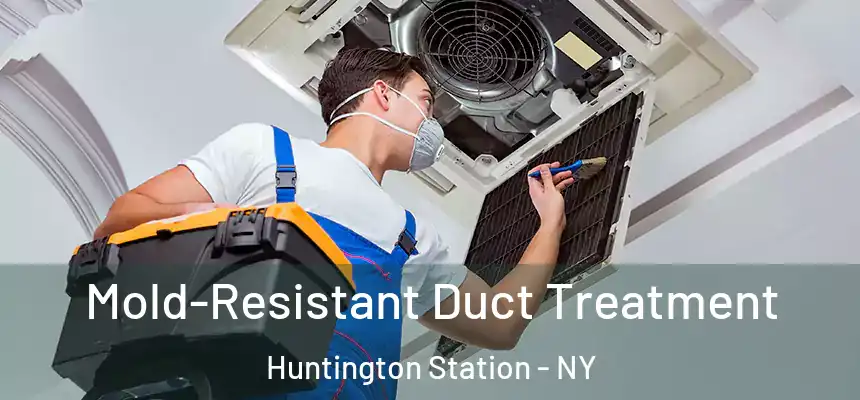  Mold-Resistant Duct Treatment Huntington Station - NY