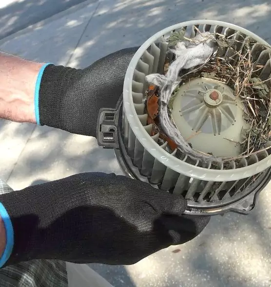 About Air Duct Mice Removal in Huntington Station, NY