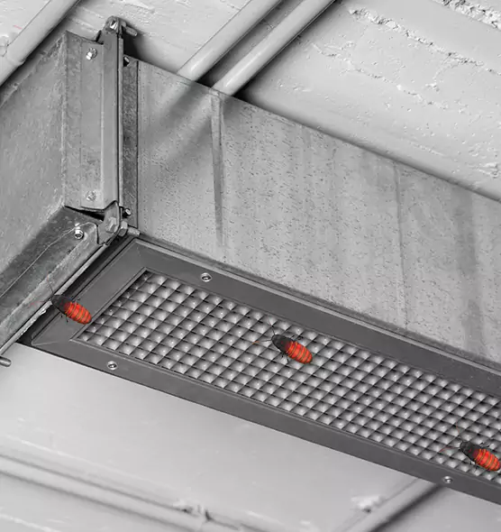 Affordable Insect Removal from Air Ducts in Huntington Station, NY