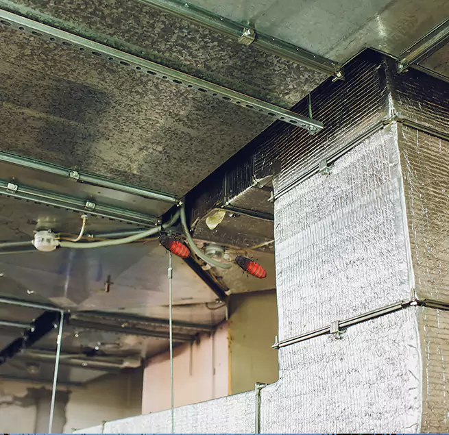 Why Homeowners & Businesses Trust Us in Huntington Station, NY?