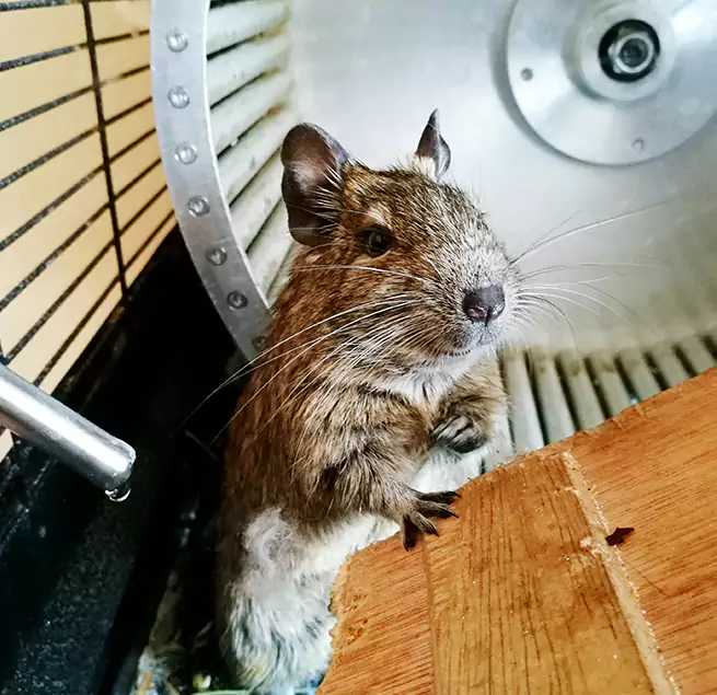 Why Homeowners & Businesses Trust Us Huntington Station, NY